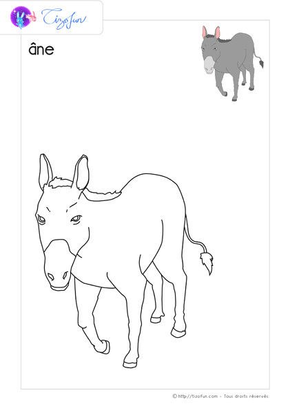 animaux-ferme-dessin-a-colorier-ane-coloriage