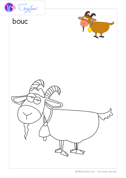 animaux-ferme-dessin-a-colorier-bouc-coloriage-08