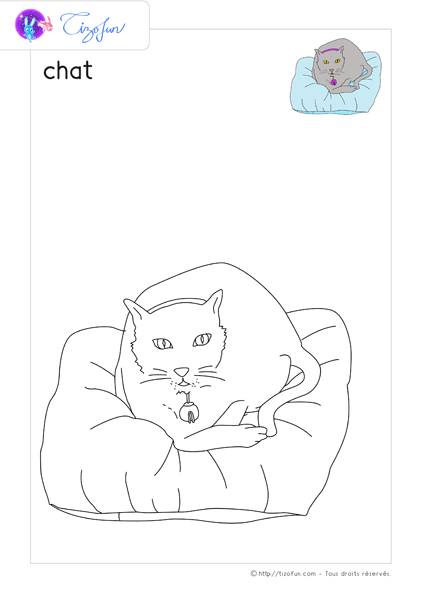 animaux-ferme-dessin-a-colorier-chat-coloriage-42
