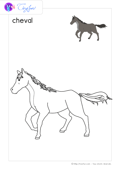 animaux-ferme-dessin-a-colorier-cheval-coloriage