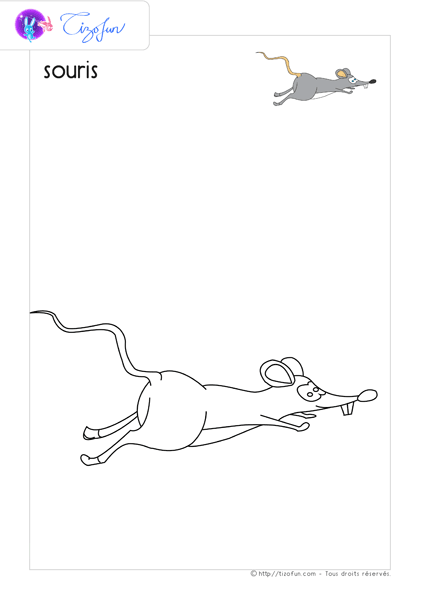 animaux-ferme-dessin-a-colorier-souris-coloriage