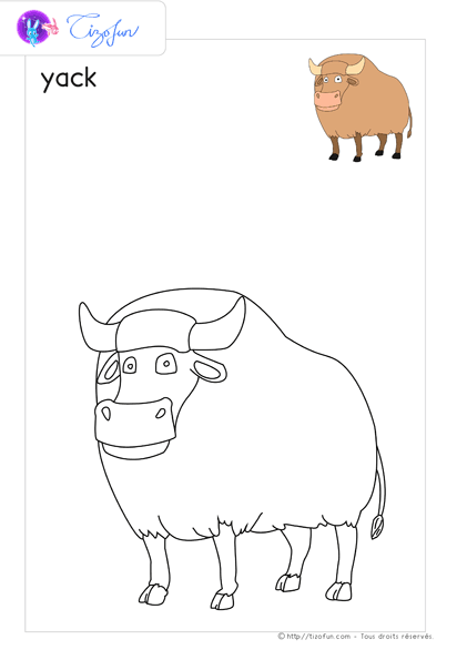 animaux-ferme-dessin-a-colorier-yack-coloriage