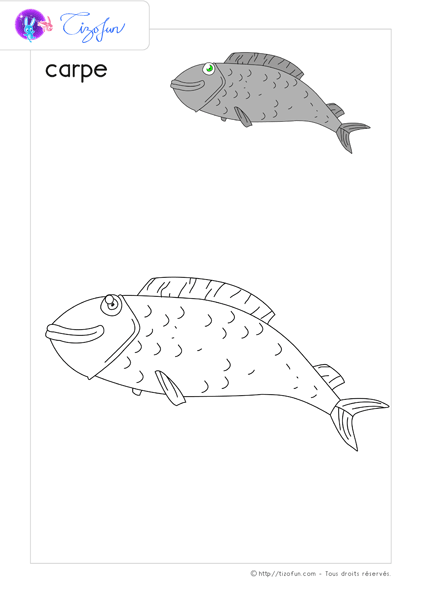 coloriage-animaux-marin-carpe