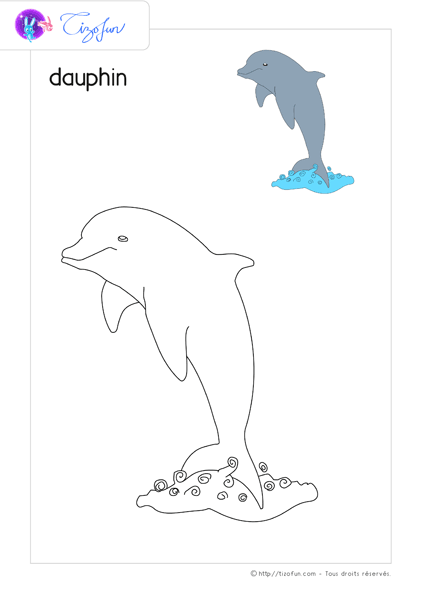 coloriage-animaux-marin-dauphin-01