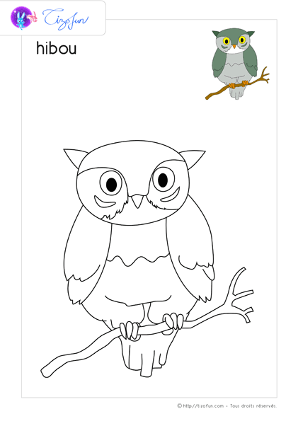 coloriage-oiseaux-dessin-hibou-02-2