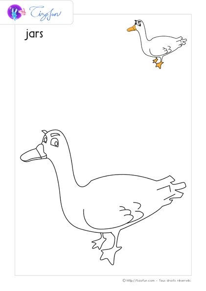 coloriage-oiseaux-dessin-jars