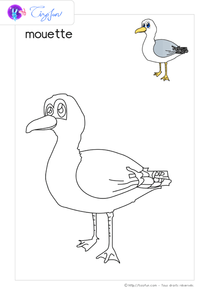 coloriage-oiseaux-dessin-mouette