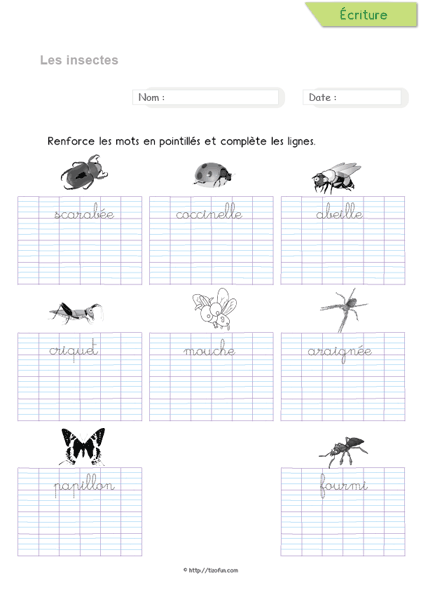 ecritureapprendre-a-ecrire-les-mots-animaux-insectes