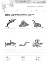 ecriture-animaux-aquatiques-05