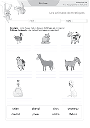 ecriture-animaux-domestiques-02