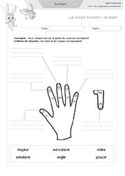 ecriture-les-parties-du-corps-la-main_04