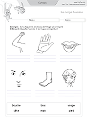 ecriture-les-parties-du-corps_01