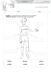 ecriture-les-parties-du-corps_02