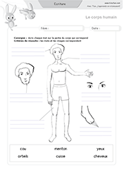 ecriture-les-parties-du-corps_03