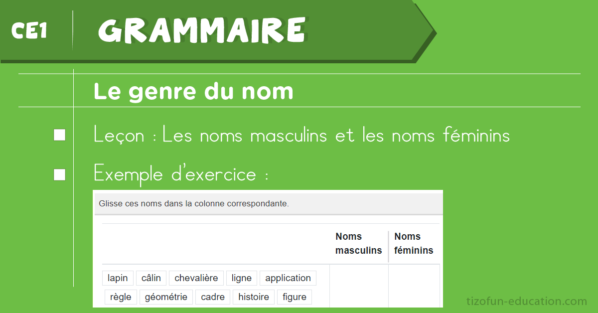 Leçon et Exercices sur le genre du nom au CE1 - Grammaire CE1