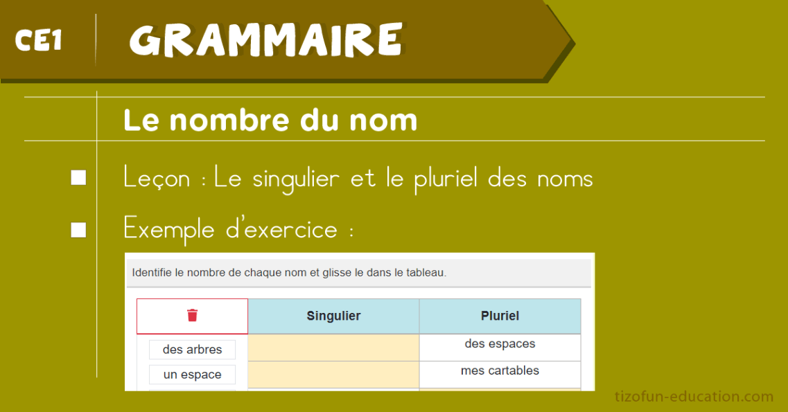 Leçon et Exercices sur le nombre du nom au CE1 - Grammaire CE1