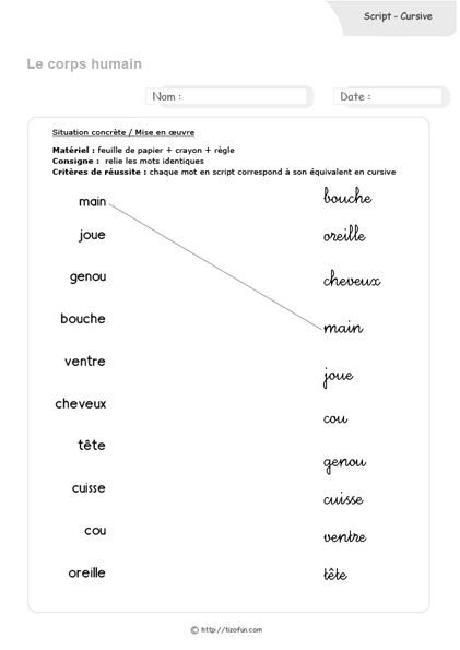 correspondance-script-cursive-le-corps-humain