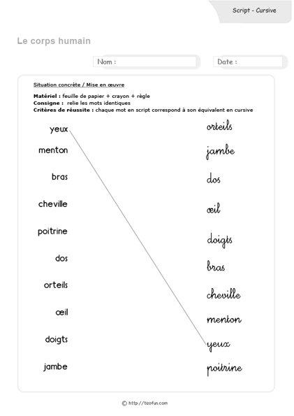 correspondance-script-cursive-le-corps-humain-02