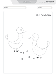 graphisme-dessiner-les-oiseaux