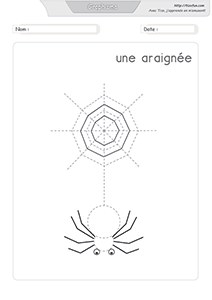 graphisme-dessiner-l-araignee-toile