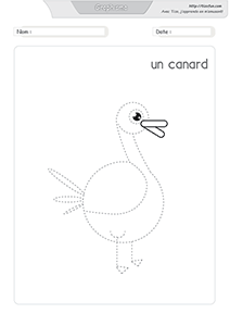 graphisme-dessiner-le-canard