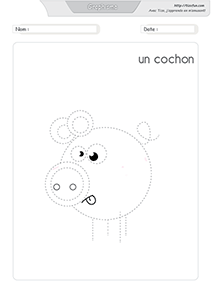 graphisme-dessiner-le-cochon