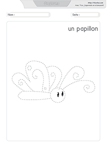 graphisme-dessiner-le-papillon