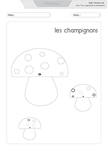 graphisme-dessiner-les-champignon-nature