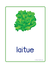 cartes-lecture-legume-laitue