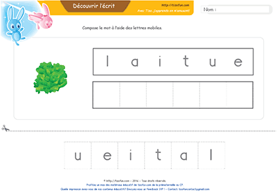 lecture-jeu-de-positionnement-des-lettres-laitue