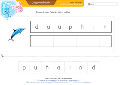 lecture-jeu-de-positionnement-des-lettres-dauphin