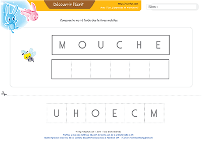 lecture-jeu-de-positionnement-des-lettres-mouche