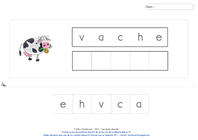 lecture-jeu-de-positionnement-des-lettres-vache