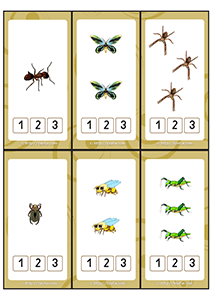 denombrement-1-a-3-maternelle-ps-03