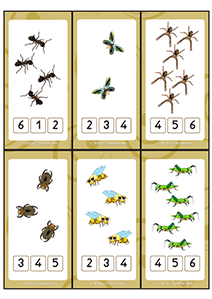 denombrement-1-a-6-maternelle-ms-03