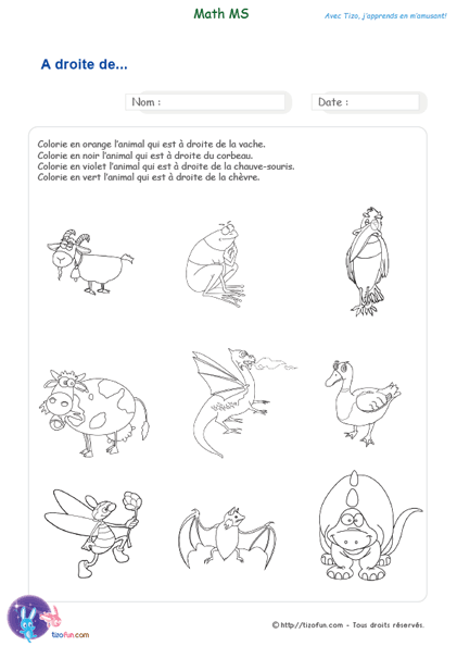 logique-mathematiques-maternelle-ms-position-a-droite-de